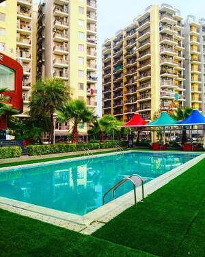 Swimming Pool in 4 BHK Apartment at Trishla City, Patiala Road – for Rent