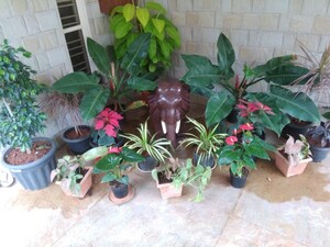 Parking in 4 BHK Villa at Hennur – for Rent