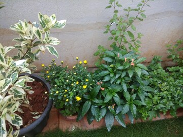 4 BHK Villa – Garden View at Hennur - for Rent