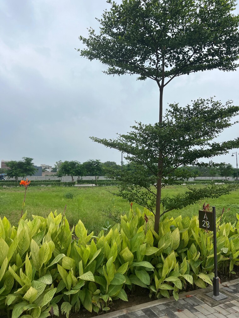 Garden, morta  319 Sq.Mt. Plot In Morta Ghaziabad 9393106