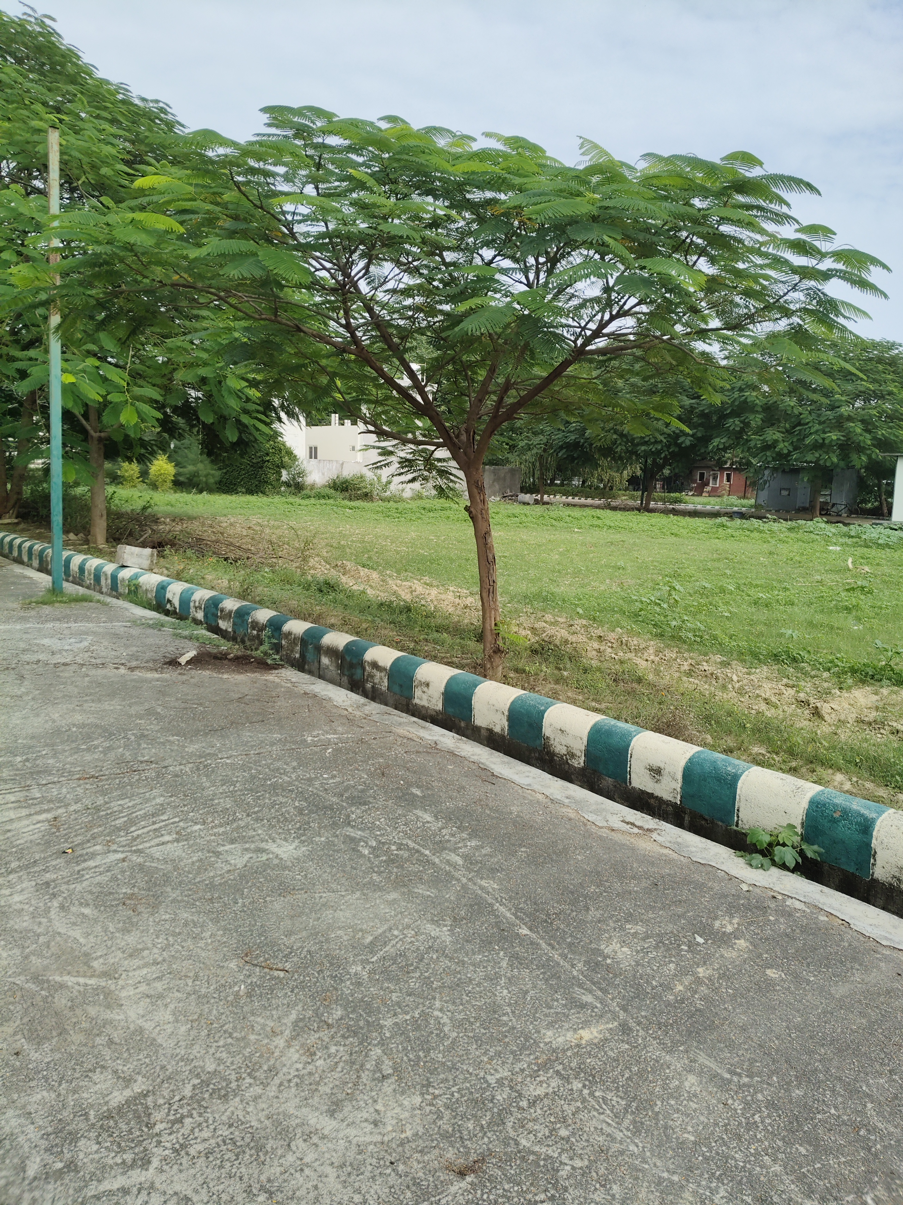 Plot For Sale in Shatabdi Vihar 