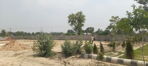 Plot Area in  Plot at Gosainganj – for Sale