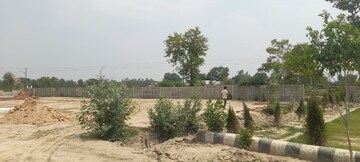 Plot Area in  Plot at Gosainganj – for Sale
