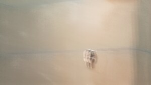 Furnished Amenities in 2 BHK Builder Floor at Mahavir Enclave 1 – for Rent