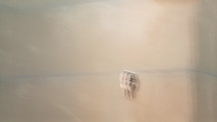 undefined, mahavir enclave 1 2 Bedroom 562 Sq.Ft. Builder Floor In Mahavir Enclave 1 Delhi 9393973