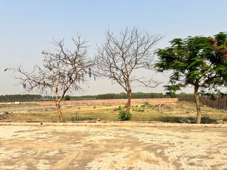 undefined, lalru  111 Sq.Yd. Plot In Lalru Mohali 9393976