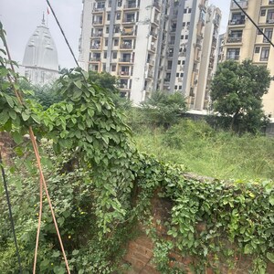  Plot – Exterior View View at Felicity, Vibhuti Khand - for Sale