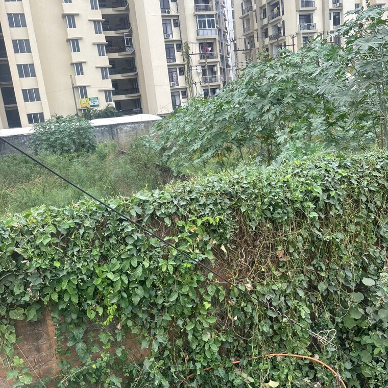 Garden, felicity  7100 Sq.Ft. Plot In Vibhuti Khand Lucknow 9394585