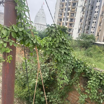  Plot – Exterior View View at Felicity, Vibhuti Khand - for Sale