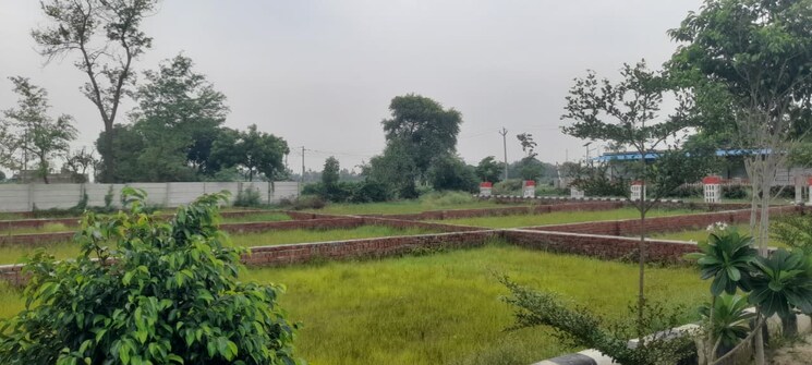 Garden, gosainganj  1238 Sq.Ft. Plot In Gosainganj Lucknow 9394660