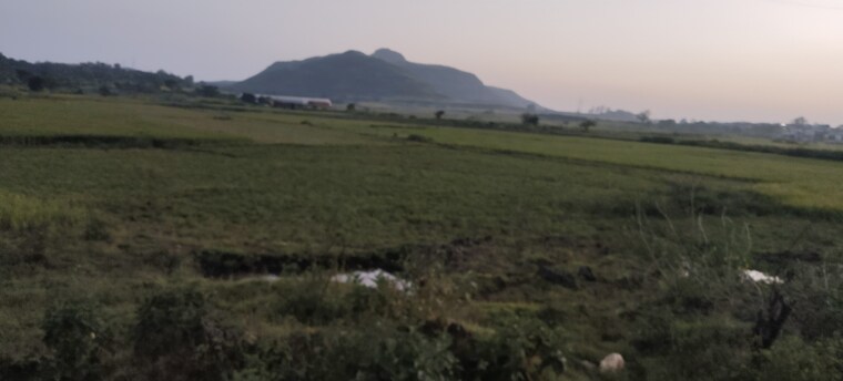 undefined, igatpuri  49000 Sq.Ft. Plot In Igatpuri Nashik 9394766
