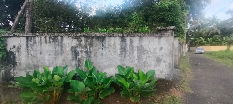 undefined, chembukkavu  11761 Sq.Ft. Plot In Chembukkavu Thrissur 9395635
