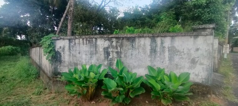 undefined, chembukkavu  11761 Sq.Ft. Plot In Chembukkavu Thrissur 9395635