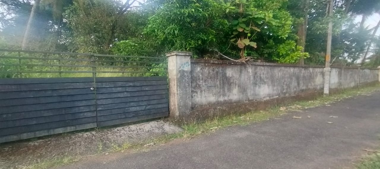 Plot For Sale in Chembukkavu