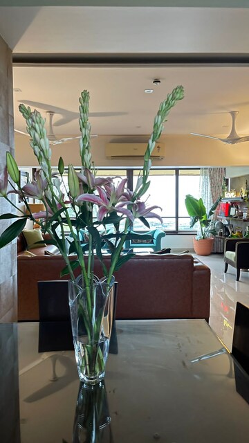 3 BHK Apartment For Rent in Marine View CHSL, Andheri West