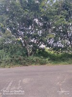 4000 Sq.Ft. Plot in Nishchay
