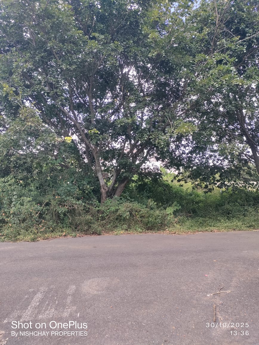 Plot For Sale in Nishchay