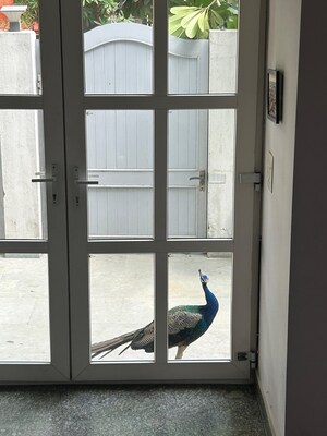 Room in 1.5 BHK Independent House at Ansal Sushant Lok I, Sector 43 – for Rent