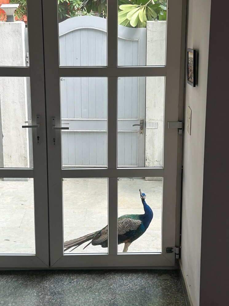 Room, ansal-sushant-lok-i 1.5 Bedroom 215 Sq.Yd. Independent House In Sector 43 Gurgaon 9396393