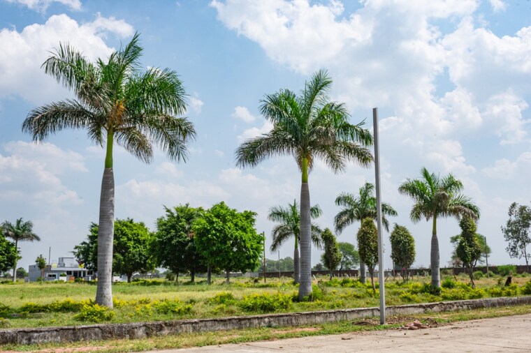 Garden, ab bypass road  1302 Sq.Ft. Plot In Ab Bypass Road Indore 9396534