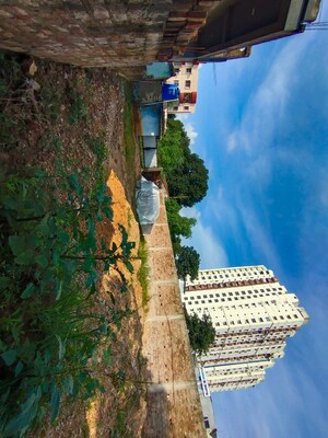  Land – Exterior View View at Bariatu - for Rent