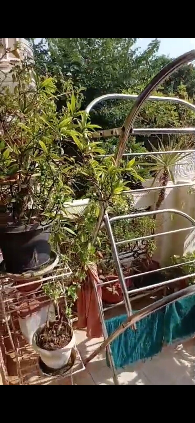 Exterior View, today-blossoms-i 3 Bedroom 1600 Sq.Ft. Builder Floor In Sector 47 Gurgaon 9397079