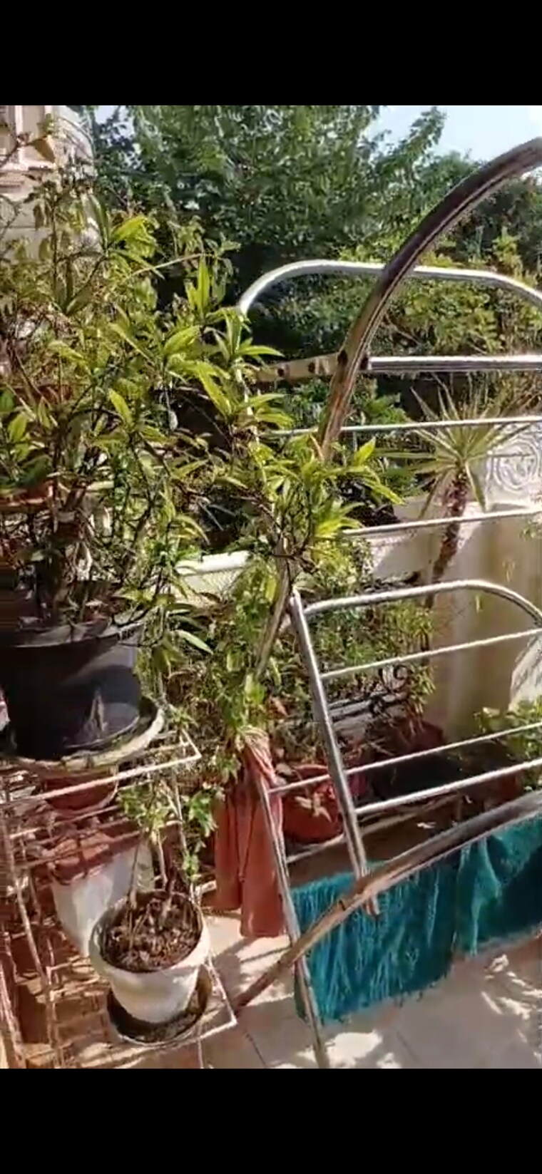 Exterior View, today-blossoms-i 3 Bedroom 1600 Sq.Ft. Builder Floor In Sector 47 Gurgaon 9397079