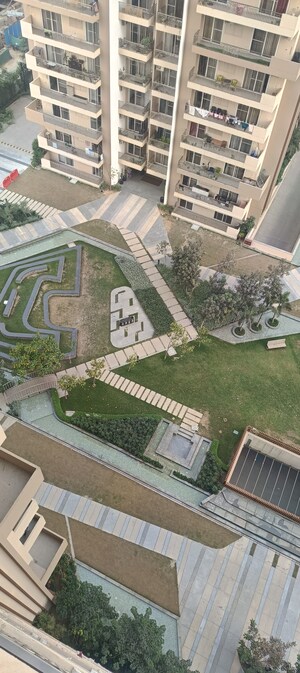 3 BHK Apartment For Rent in ABA Ivy County, Sector 75