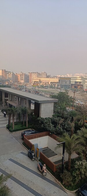 4 BHK Apartment For Rent in ABA Ivy County, Sector 75