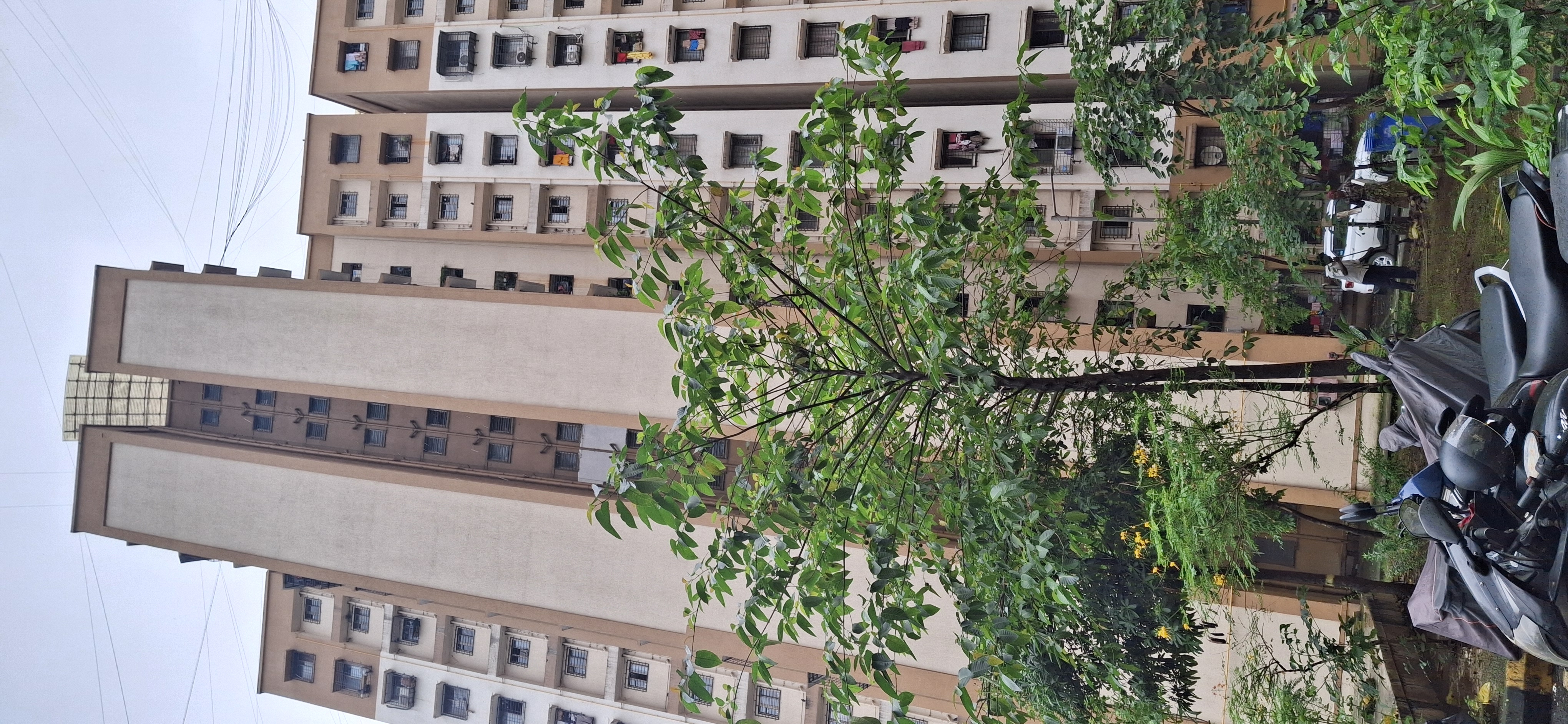 1 BHK 550 Sq.Ft. Apartment in Megh Malhar Co-op Housing Society