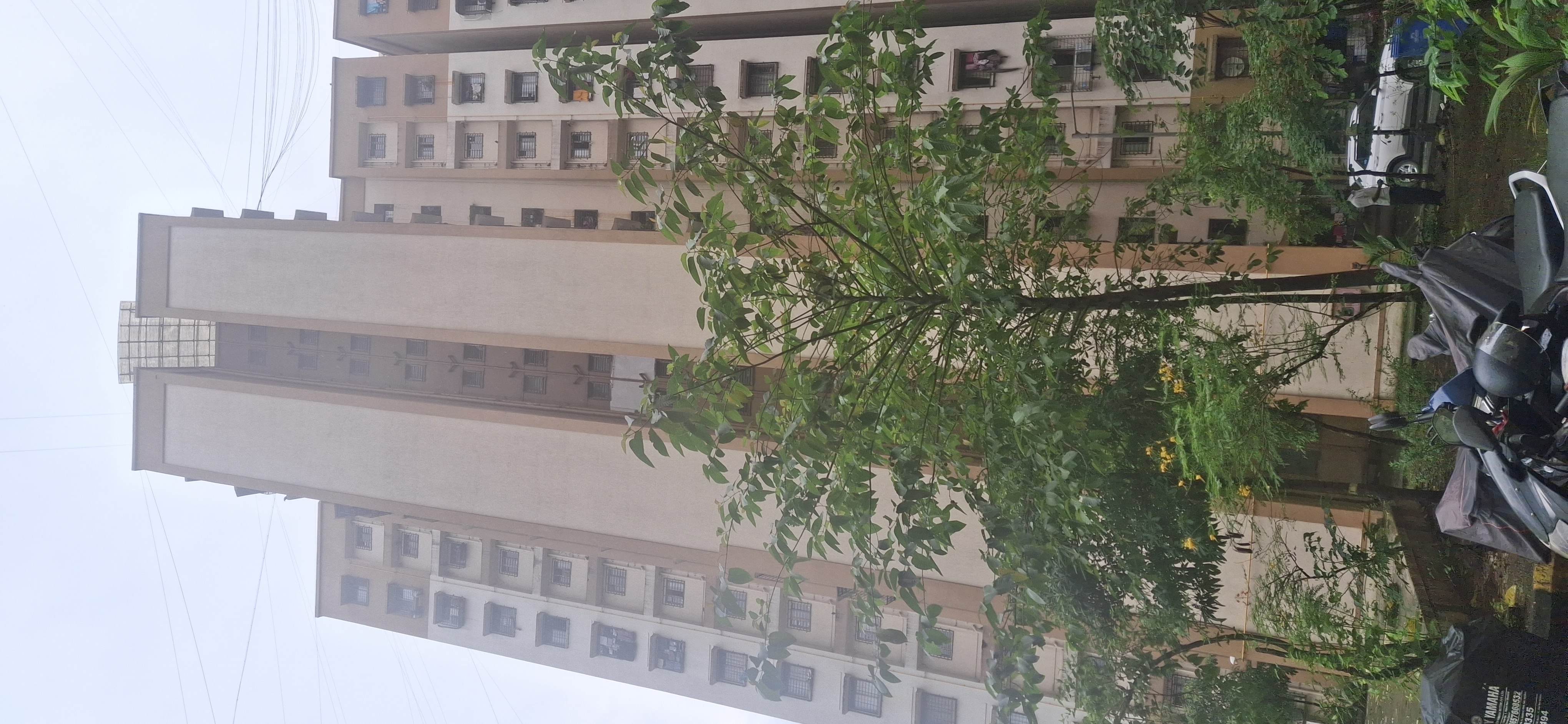 1 BHK Apartment For Rent in Megh Malhar Co-op Housing Society