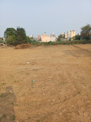 Plot Area in  Plot at Palla – for Sale