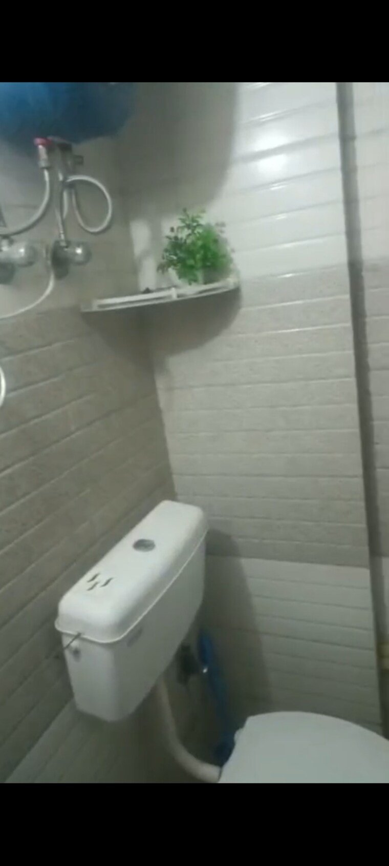 Bathroom, signature-global-orchard-avenue 1 Bedroom 450 Sq.Ft. Apartment In Sector 93 Gurgaon 9397746