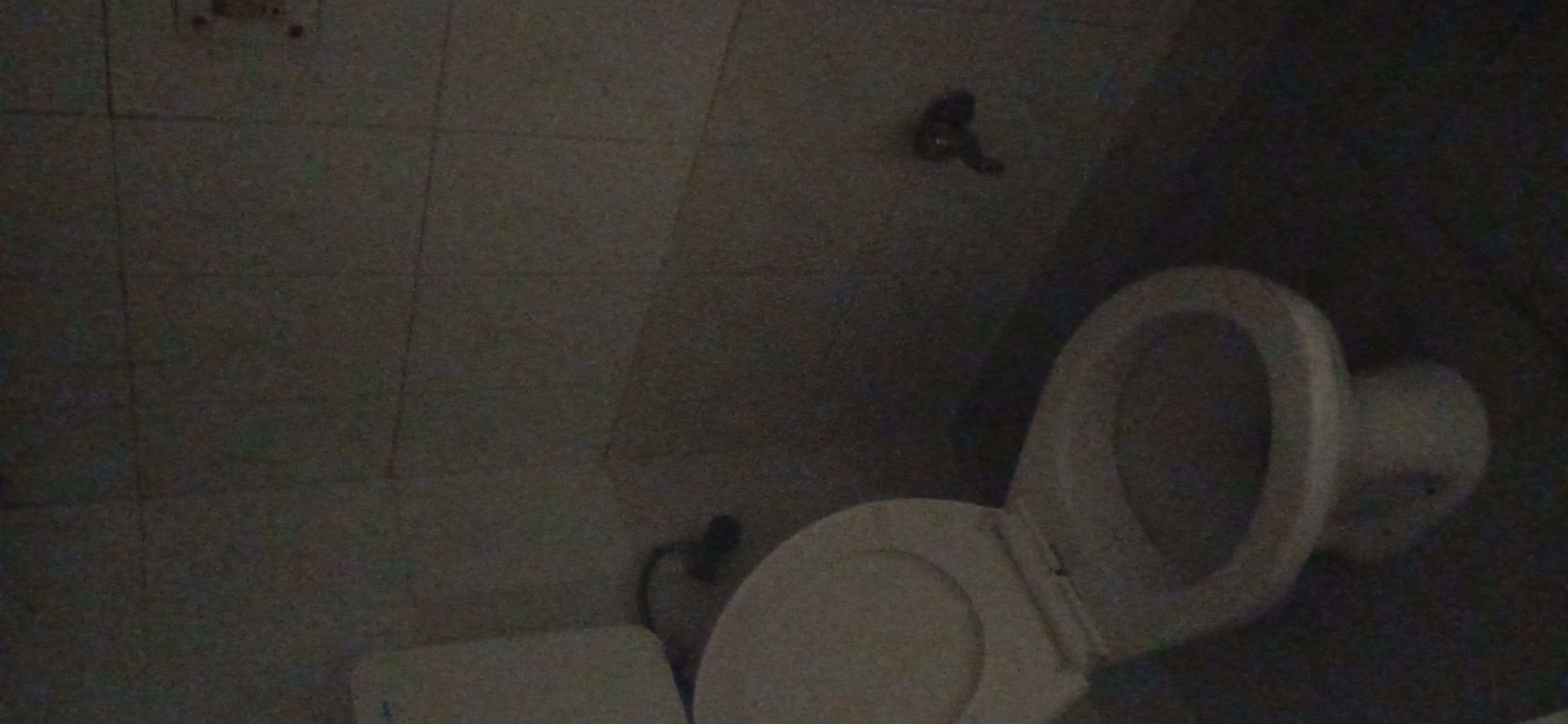 3 BHK Apartment For Rent in Prangan Apartments