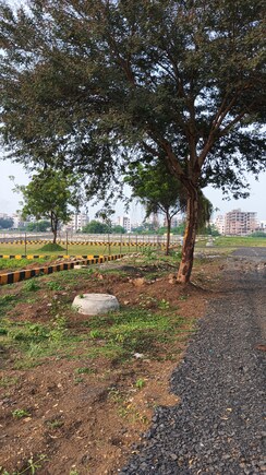 Plot For Sale in Manish Nagar