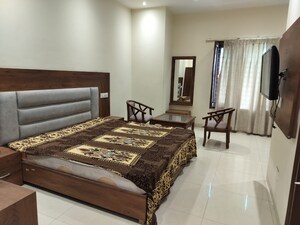 3 BHK Apartment For Rent in Sushma Grande Nxt, Lohgarh