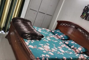 Furnished Amenities in 3 BHK Apartment at Bliss Orra, Ambala Highway – for Rent