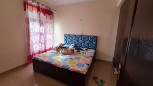 1 BHK Apartment For Rent in Amrapali Princely Estate, Sector 76