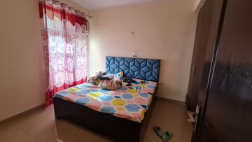 1 BHK Apartment For Rent in Amrapali Princely Estate, Sector 76