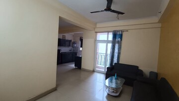 Living Room in 1 BHK Apartment at Amrapali Princely Estate, Sector 76 – for Rent