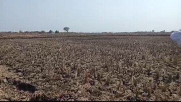  Plot For Sale in Bgta Nhava Sheva, Dronagiri