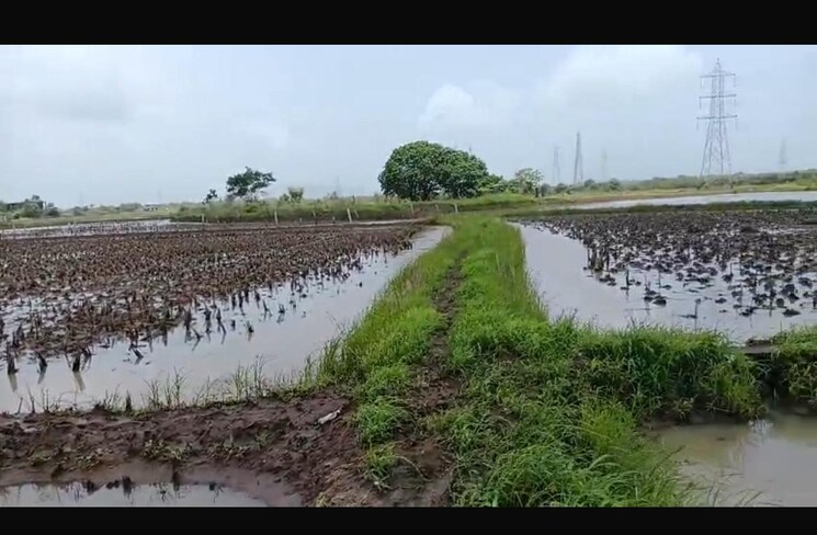 undefined, bgta-nhava-sheva  1090 Sq.Ft. Plot In Dronagiri Navi Mumbai 9400362