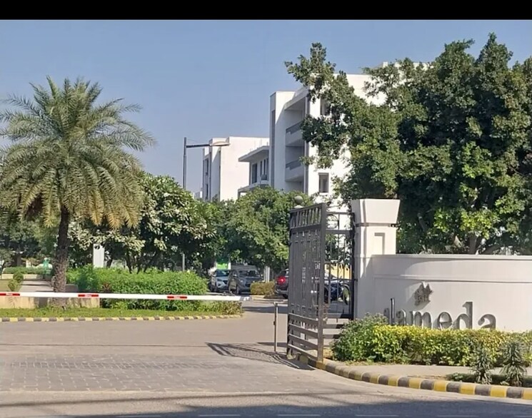 Exterior View, dlf-alameda-independent-floors 3 Bedroom 250 Sq.Yd. Builder Floor In Sector 73 Gurgaon 9399450