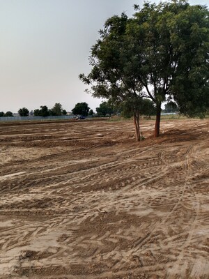 Plot Area in  Plot at Gwalior Road – for Sale