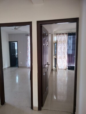 2 BHK Apartment For Rent in Aura Homes, Patiala Road