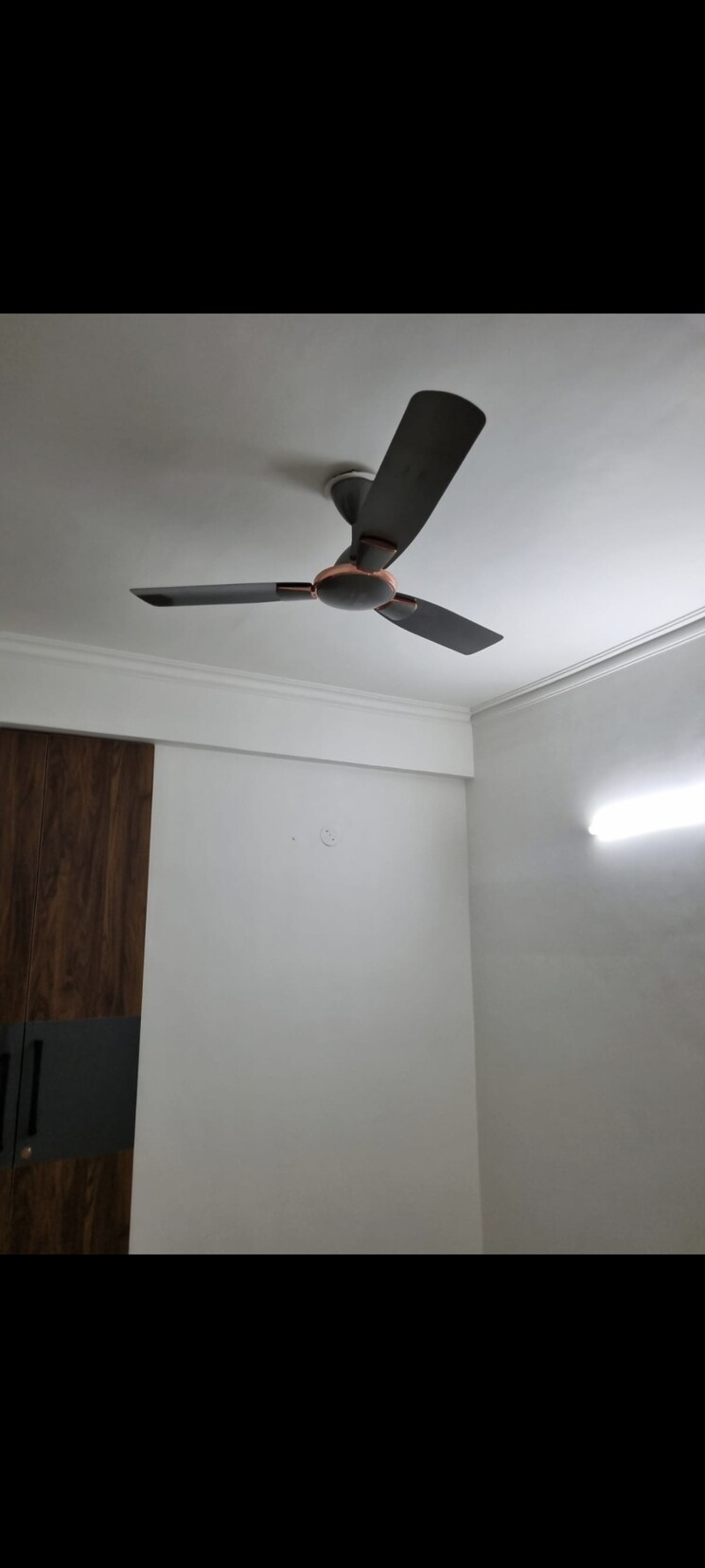 undefined, paschim vihar 2.5 Bedroom 84 Sq.Yd. Builder Floor In Paschim Vihar Delhi 9399599