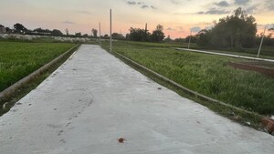 Plot Area in  Plot at Goel Tower, Anora Kala – for Sale