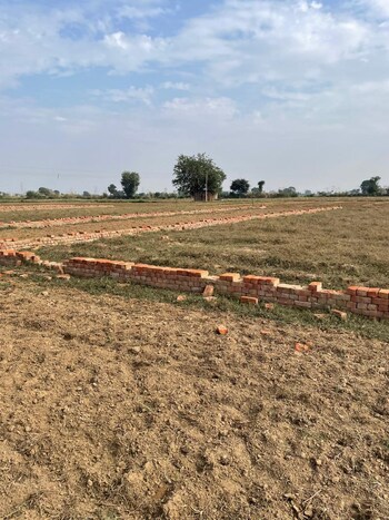 Plot for Sale in Jewar, Greater Noida