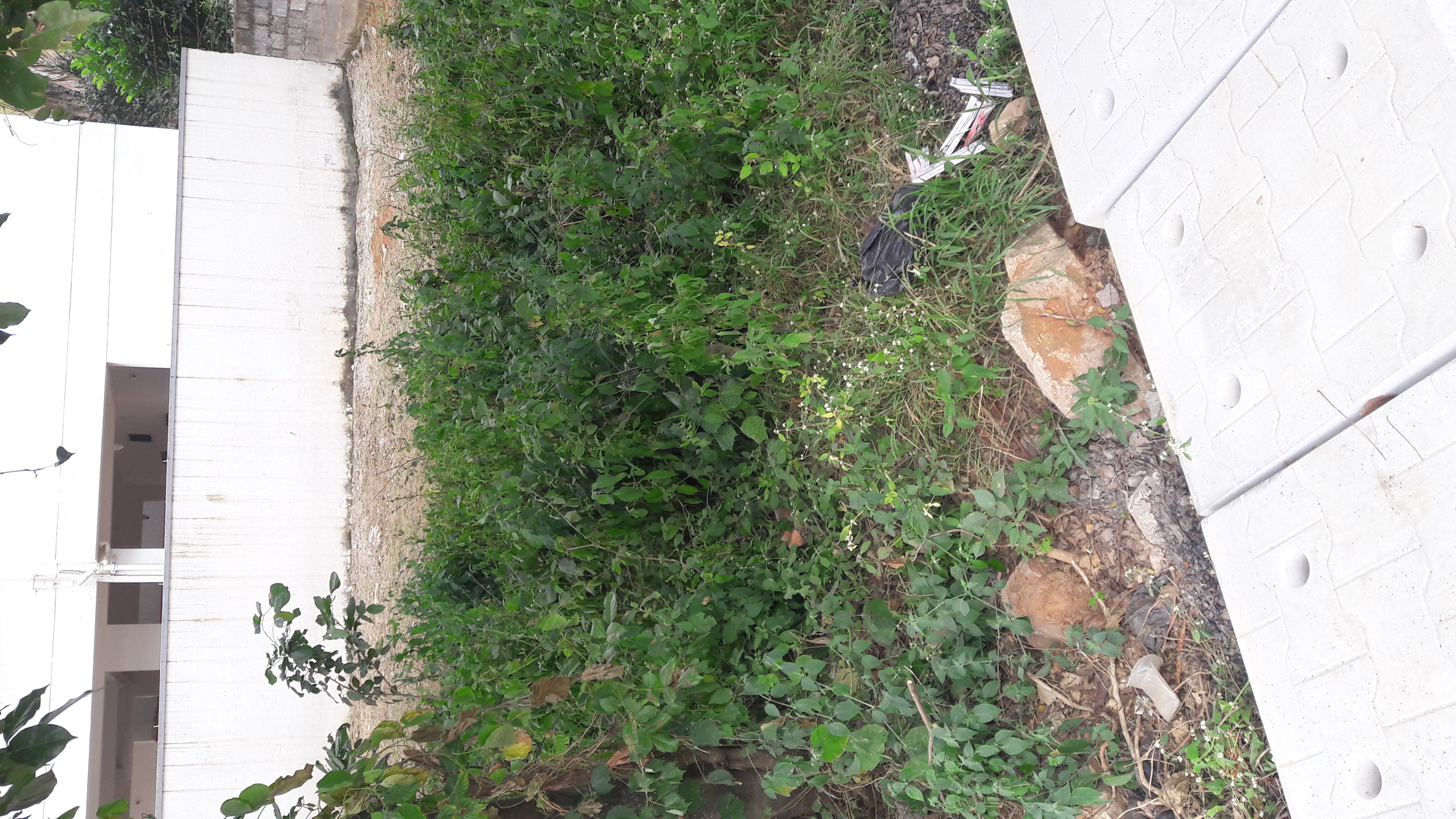 Plot For Sale in Cross Realtors