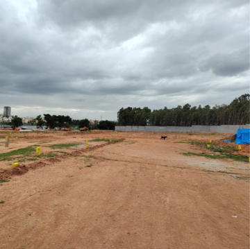  Plot For Sale in Sarjapur